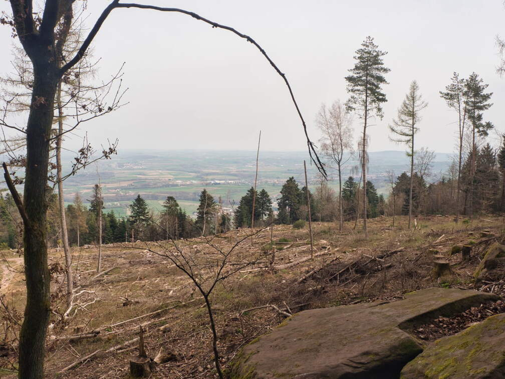 P3290257
